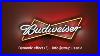 Budweiser-Bowtie-Led-Neon-Sign-Dynamic-Effects-You-Plus-01-zlb