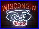 New-Wisconsin-State-Neon-Light-Lamp-Sign-17x14-Beer-Gift-Bar-Glass-Decor-01-maf